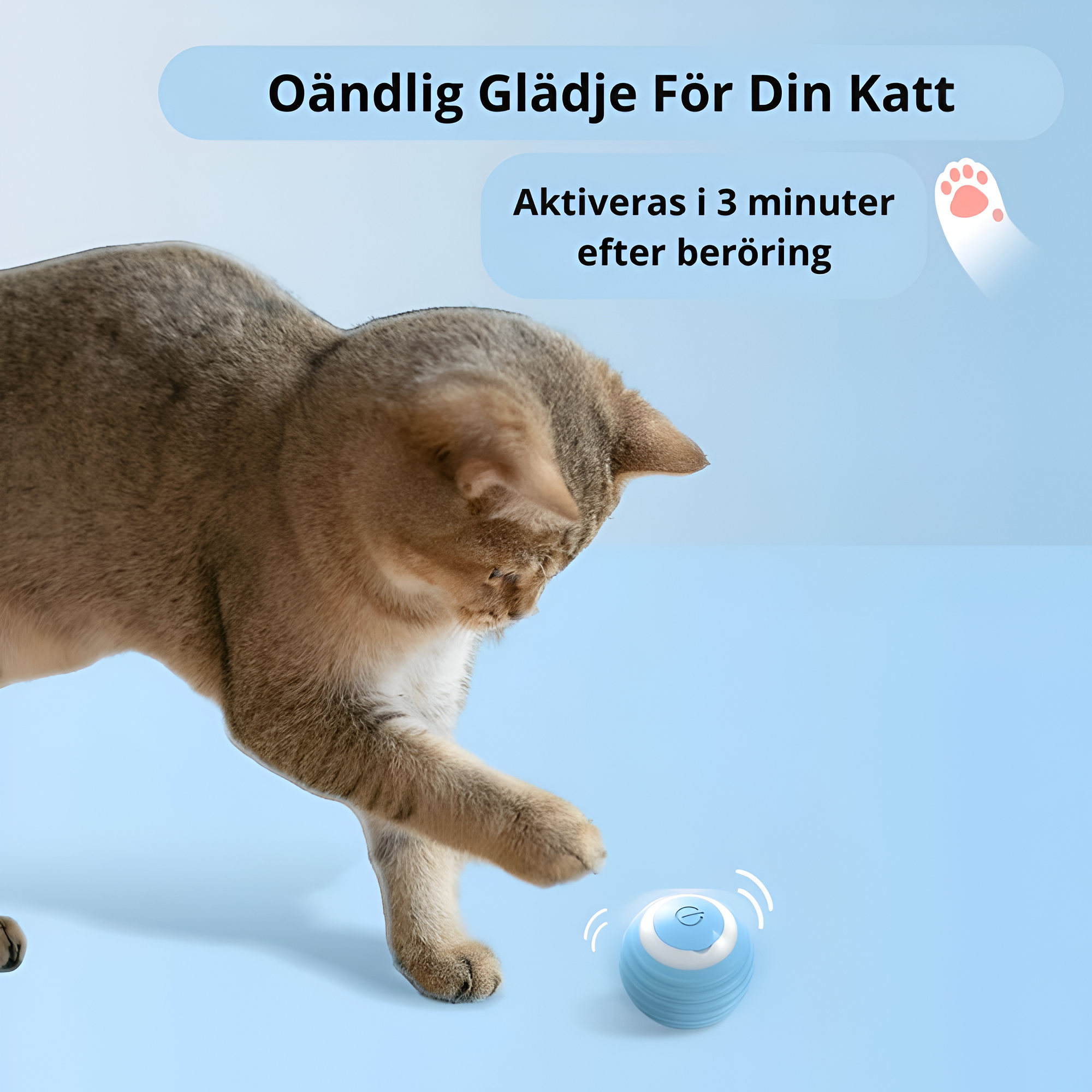 GravityBall - Rulla in i en värld av lek och glädje för din katt!